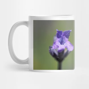 Lavender flower close-up Mug